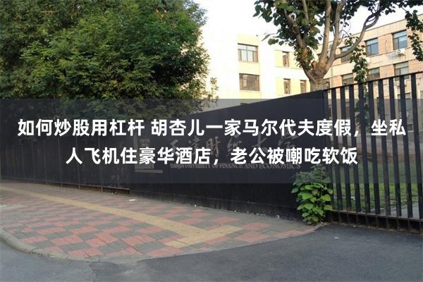 如何炒股用杠杆 胡杏儿一家马尔代夫度假，坐私人飞机住豪华酒店，老公被嘲吃软饭