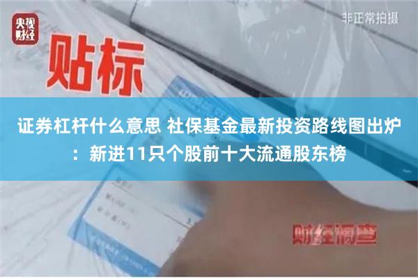 证券杠杆什么意思 社保基金最新投资路线图出炉：新进11只个股前十大流通股东榜