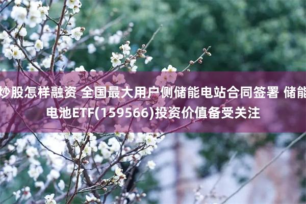 炒股怎样融资 全国最大用户侧储能电站合同签署 储能电池ETF(159566)投资价值备受关注