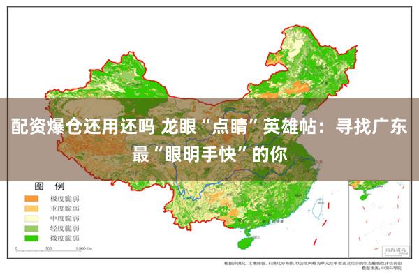 配资爆仓还用还吗 龙眼“点睛”英雄帖：寻找广东最“眼明手快”的你