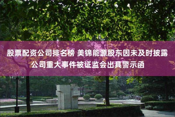 股票配资公司排名榜 美锦能源股东因未及时披露公司重大事件被证监会出具警示函