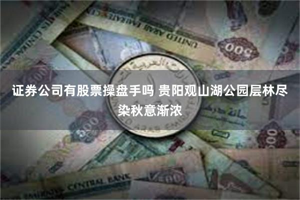 证券公司有股票操盘手吗 贵阳观山湖公园层林尽染秋意渐浓