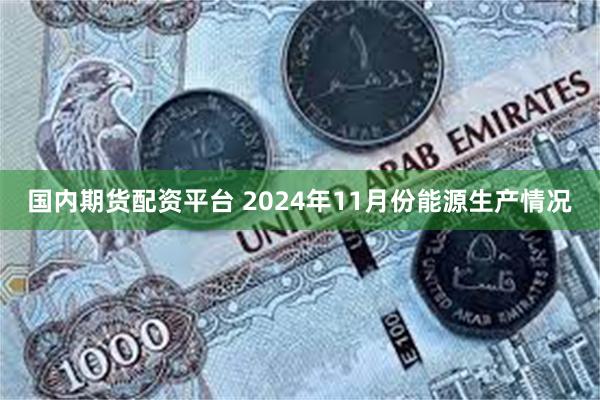 国内期货配资平台 2024年11月份能源生产情况