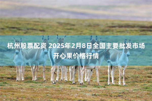 杭州股票配资 2025年2月8日全国主要批发市场开心果价格行情