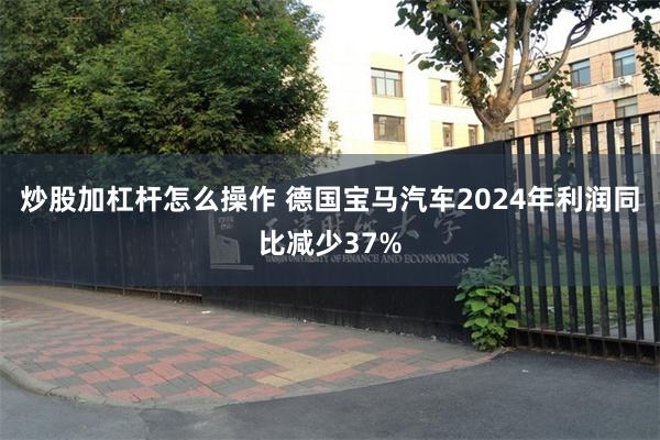 炒股加杠杆怎么操作 德国宝马汽车2024年利润同比减少37%