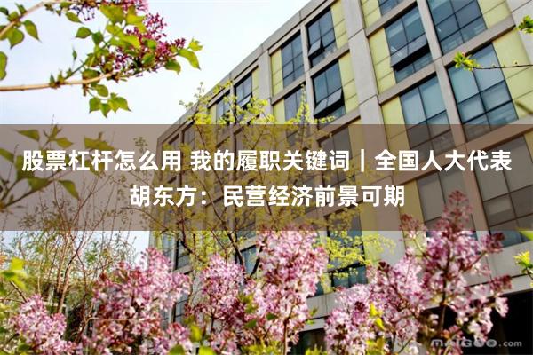 股票杠杆怎么用 我的履职关键词｜全国人大代表胡东方：民营经济前景可期