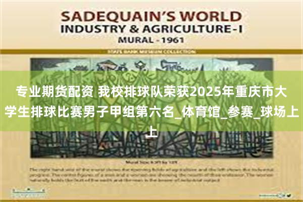 专业期货配资 我校排球队荣获2025年重庆市大学生排球比赛男子甲组第六名_体育馆_参赛_球场上